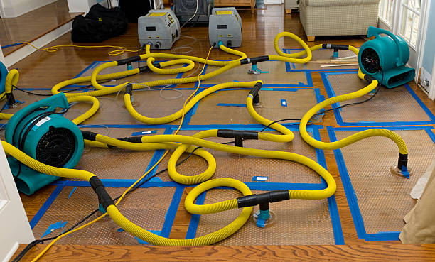 Professional Basement Flood Cleanup technician working in Worthing, SD